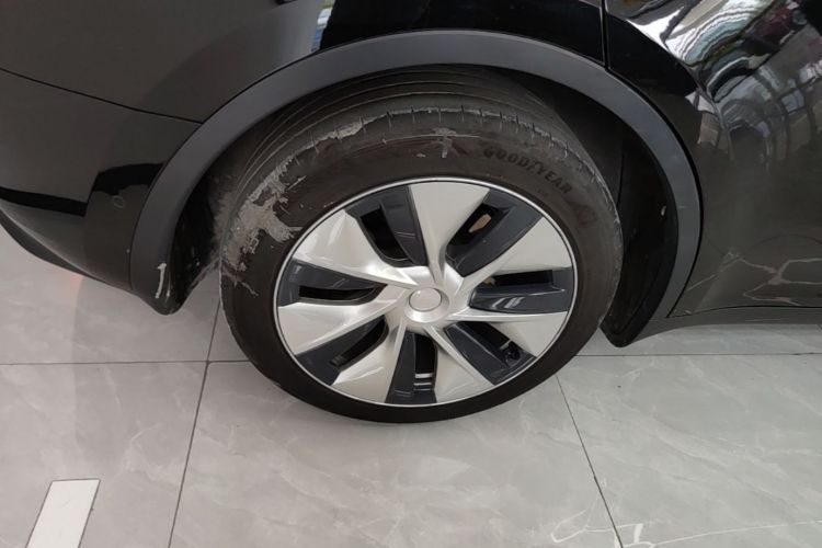 Tesla Model Y 2023 car image #10