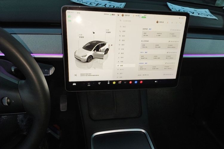 Tesla Model Y 2024 car image #13