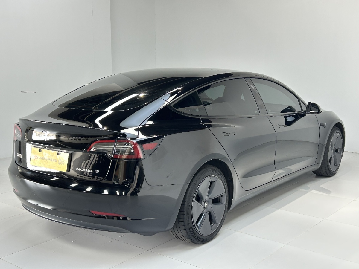 Tesla Model 3 2021 #4 Tesla Model 3 2021 car image #4