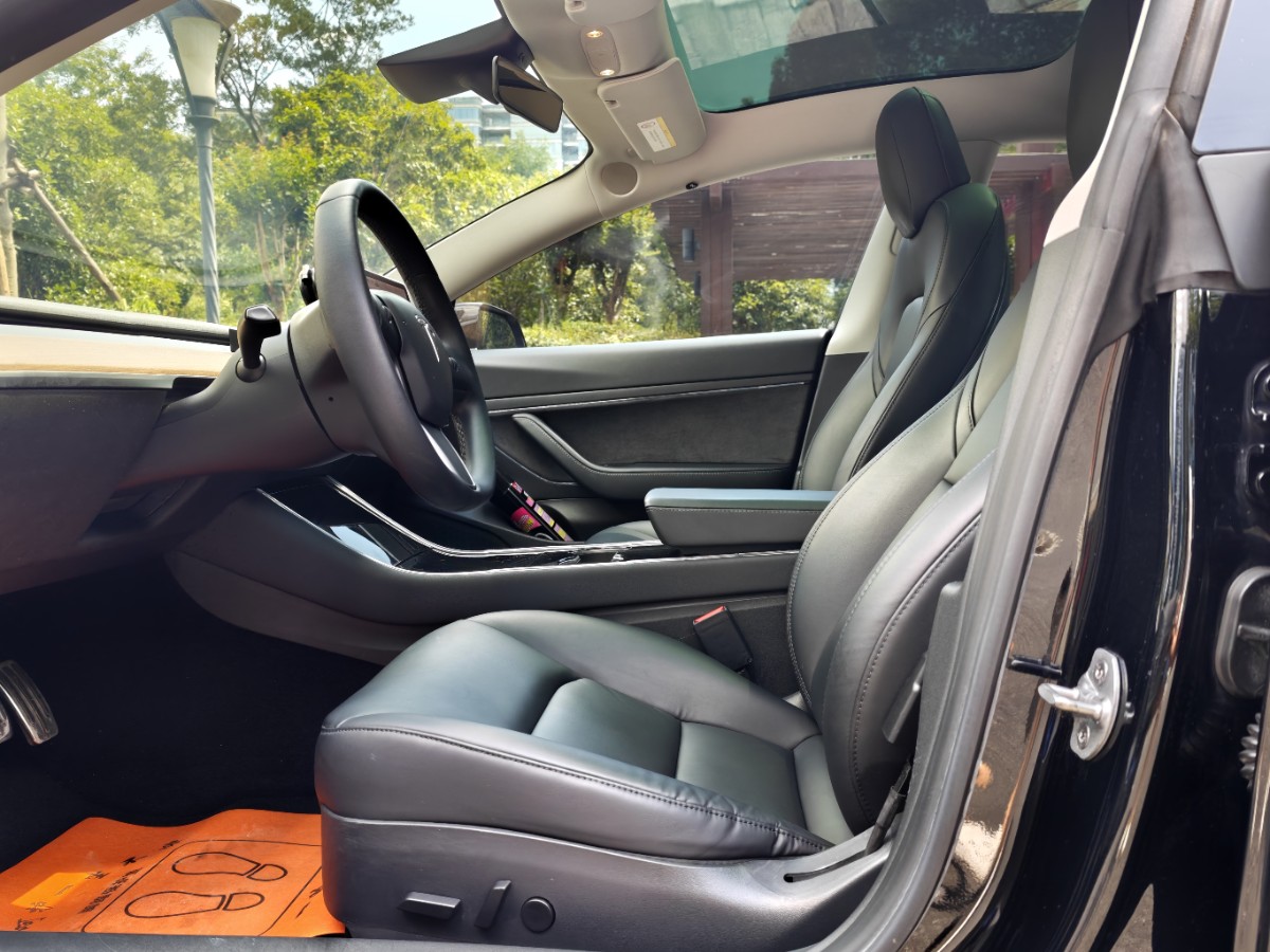 Tesla Model 3 2020 #5 Tesla Model 3 2020 car image #5