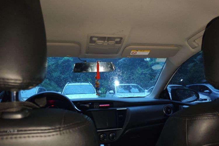 Toyota Corolla 2019 car image #20