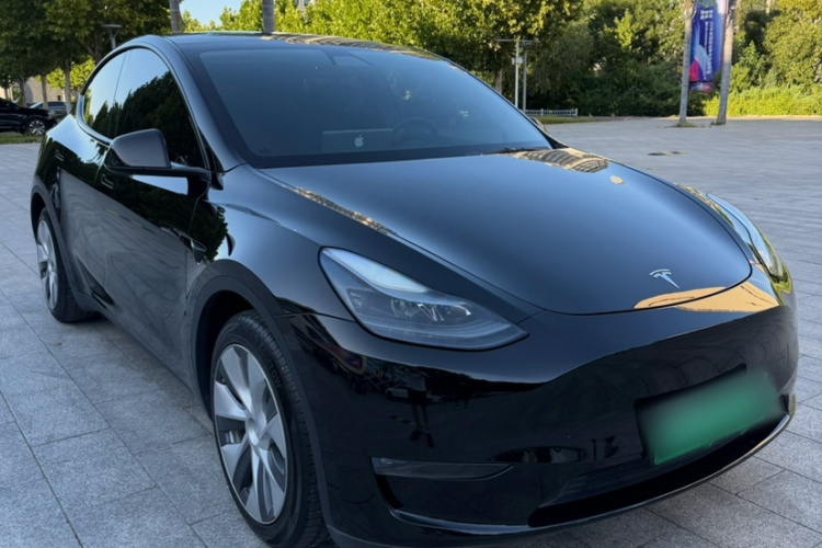Tesla Model Y 2021 car image #3