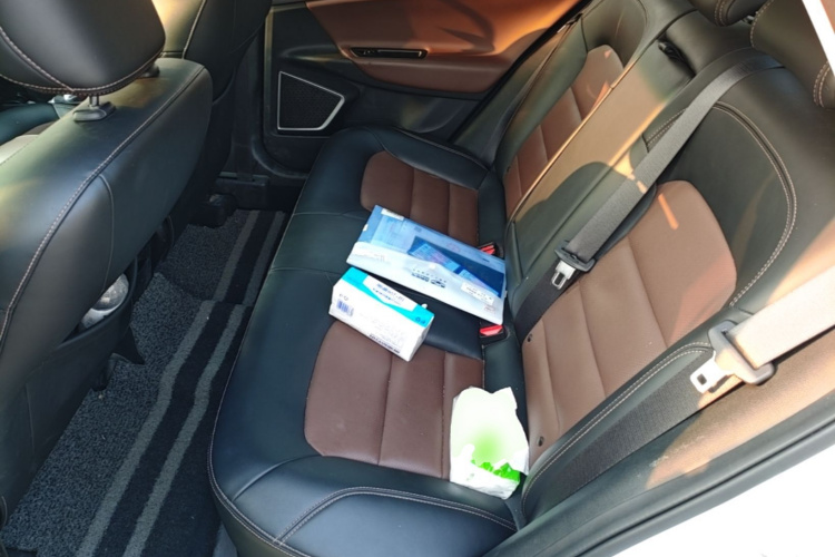 GEELY Emgrand GL 2020 imagem de carro #17