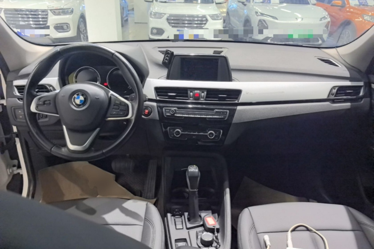 BMW X1 2018 car image #10