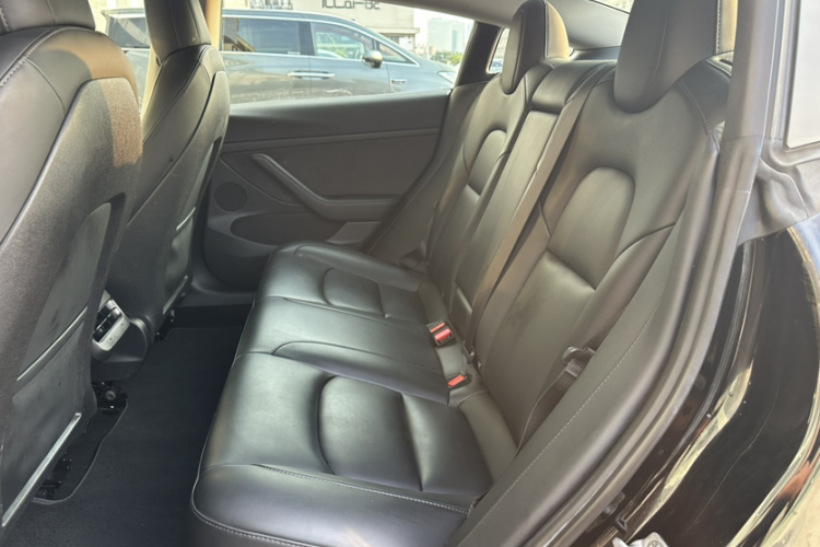 Tesla Model 3 2022 car image #18