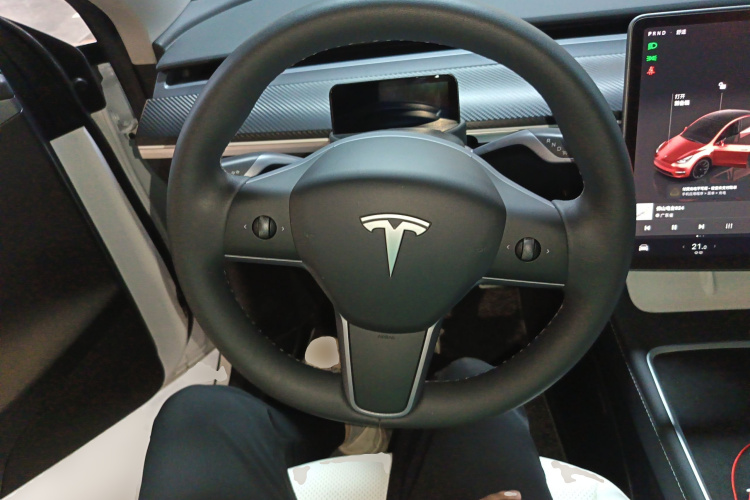 Tesla Model Y 2023 car image #13