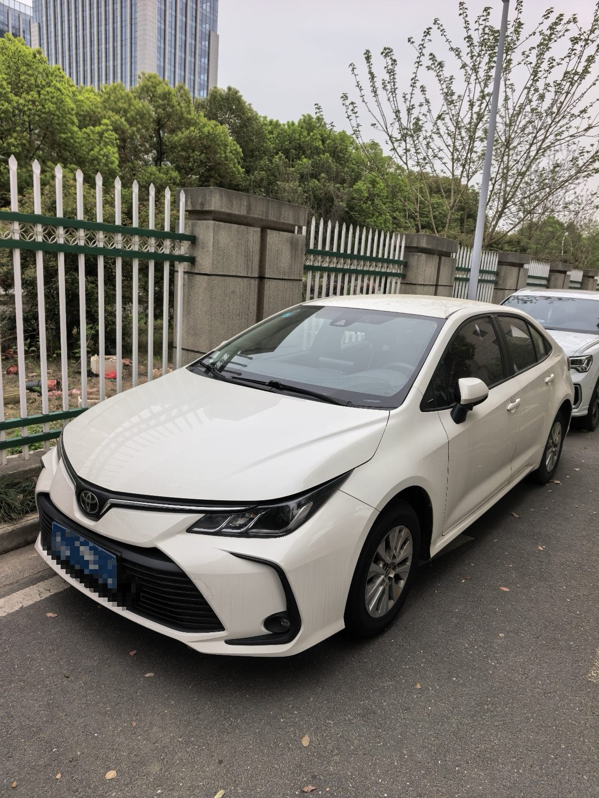 Toyota Corolla 2022 Toyota Corolla 2022 car image