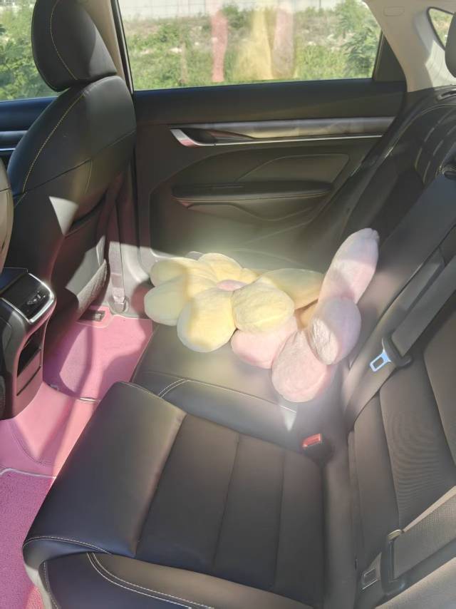 GEELY Binray 2021 #4 GEELY Binray 2021 صورة سيارة #4