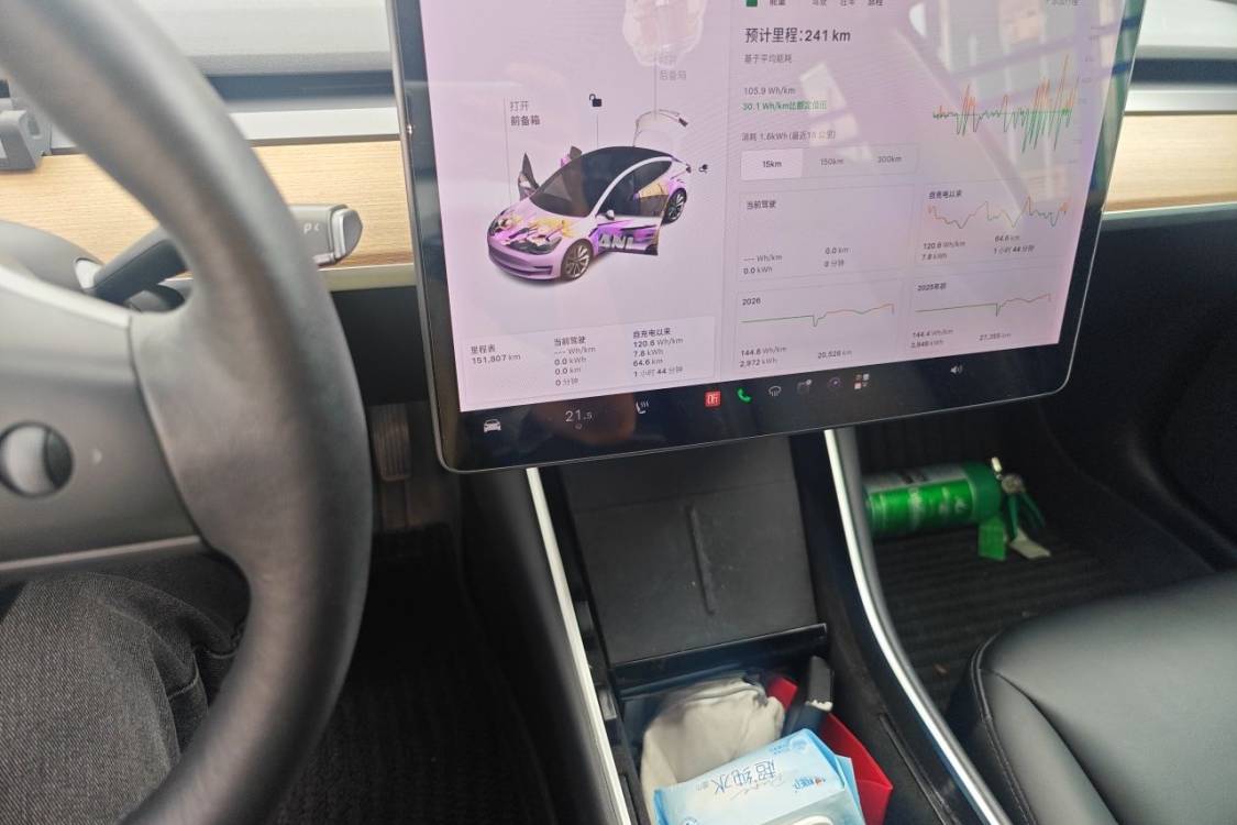 Tesla Model 3 2020 #24 Tesla Model 3 2020 car image #24