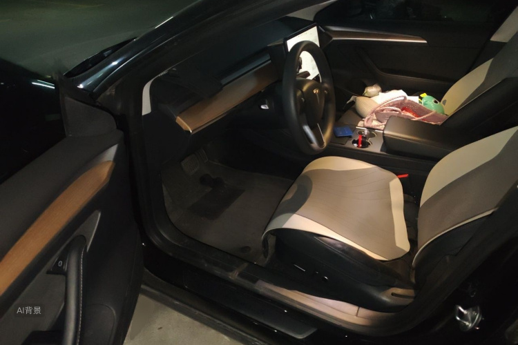 Tesla Model 3 2023 car image #18