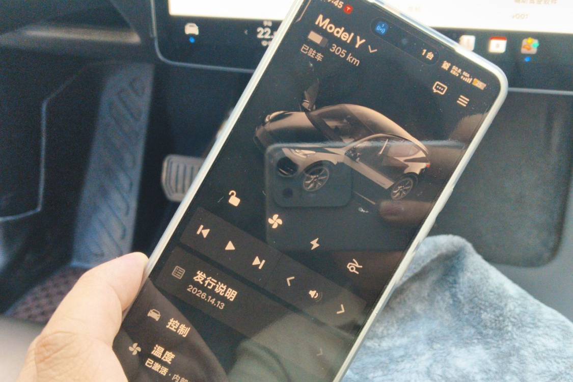 Tesla Model Y 2023 #28 Tesla Model Y 2023 car image #28
