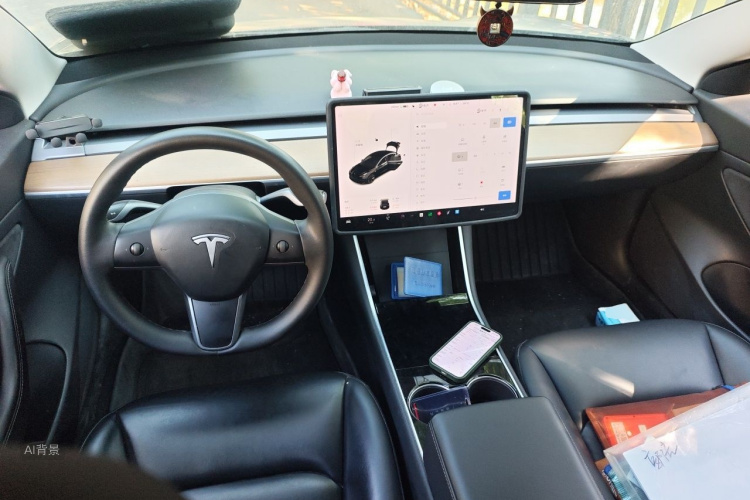 Tesla Model 3 2020 immagine di auto #11
