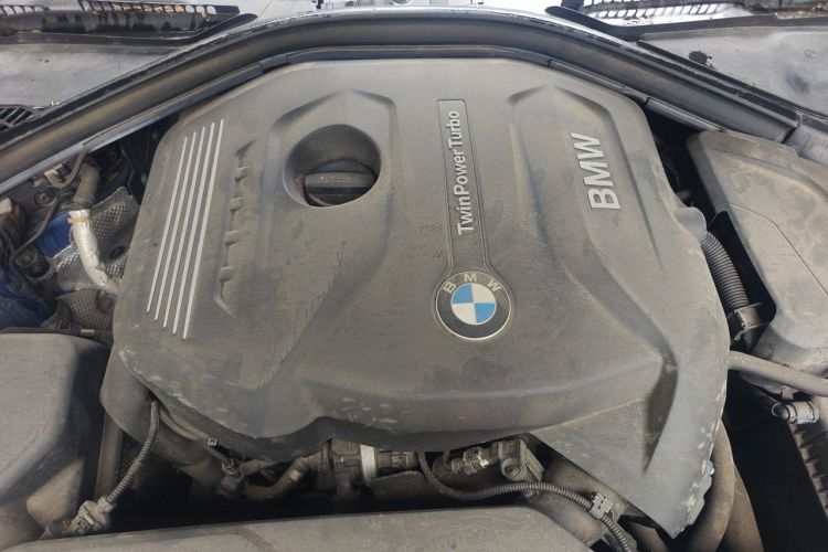BMW 3 Series 2017 #18 BMW 3 Series 2017 car image #18