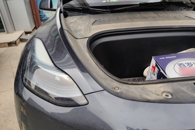 Tesla Model Y 2024 #28 Tesla Model Y 2024 car image #28