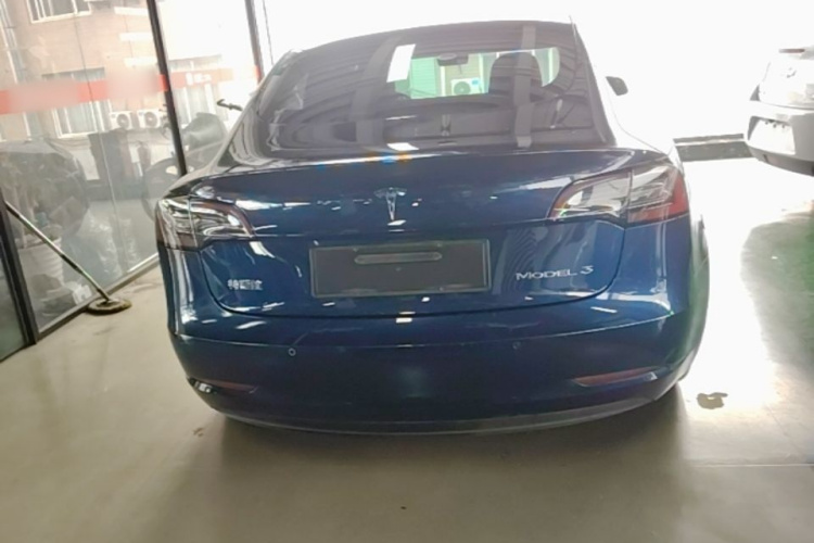Tesla Model 3 2021 car image #4