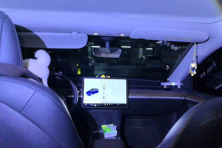 Tesla Model Y 2021 #16 Tesla Model Y 2021 car image #16