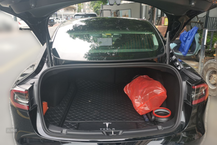Tesla Model 3 2020 car image #21