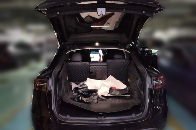 Tesla Model Y 2021 #21 Tesla Model Y 2021 car image #21