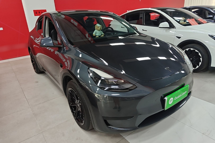 Tesla Model Y 2024 #6 Tesla Model Y 2024 car image #6