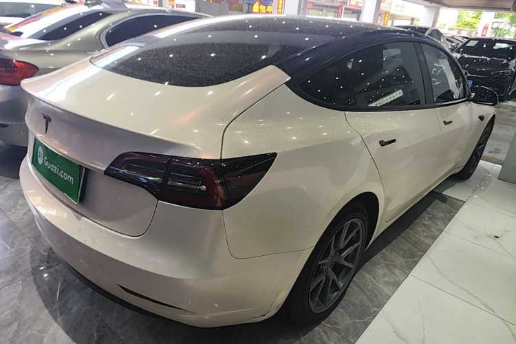 Tesla Model 3 2021 car image #7