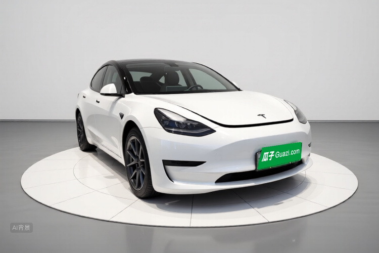 Tesla Model 3 2022 car image #4