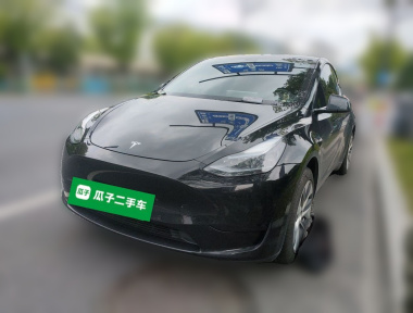 Tesla Model Y 2022 Tesla Model Y 2022 car image