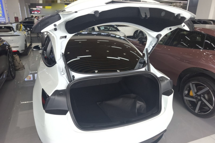 Tesla Model 3 2025 #19 Tesla Model 3 2025 car image #19