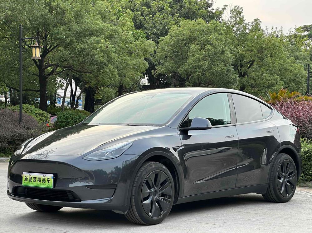 Tesla Model Y 2024 Tesla Model Y 2024 car image