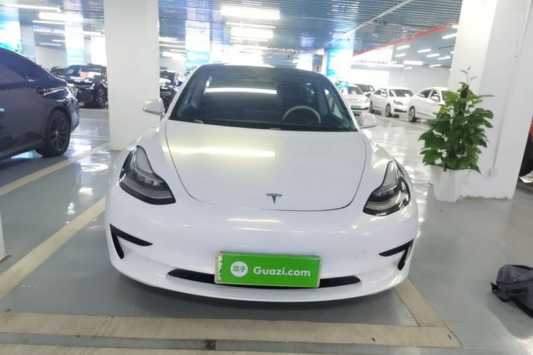 Tesla Model 3 2020 #3 Tesla Model 3 2020 car image #3