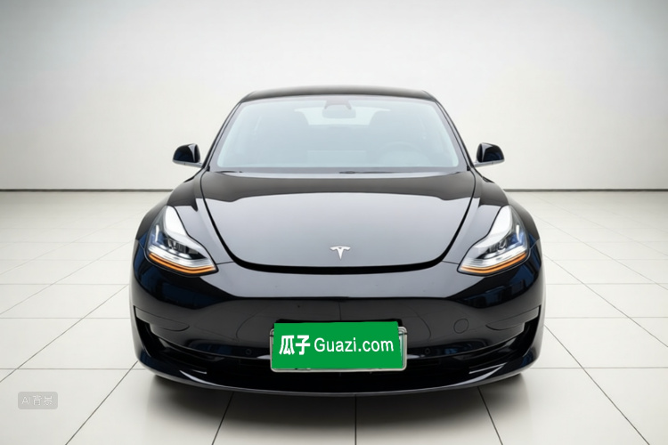 Tesla Model 3 2020 #3 Tesla Model 3 2020 car image #3