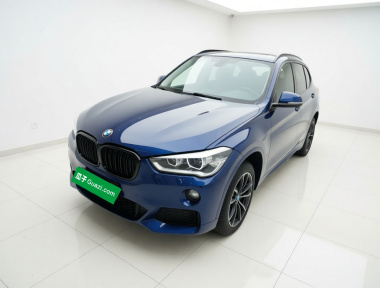 BMW X1 2019 BMW X1 2019 car image