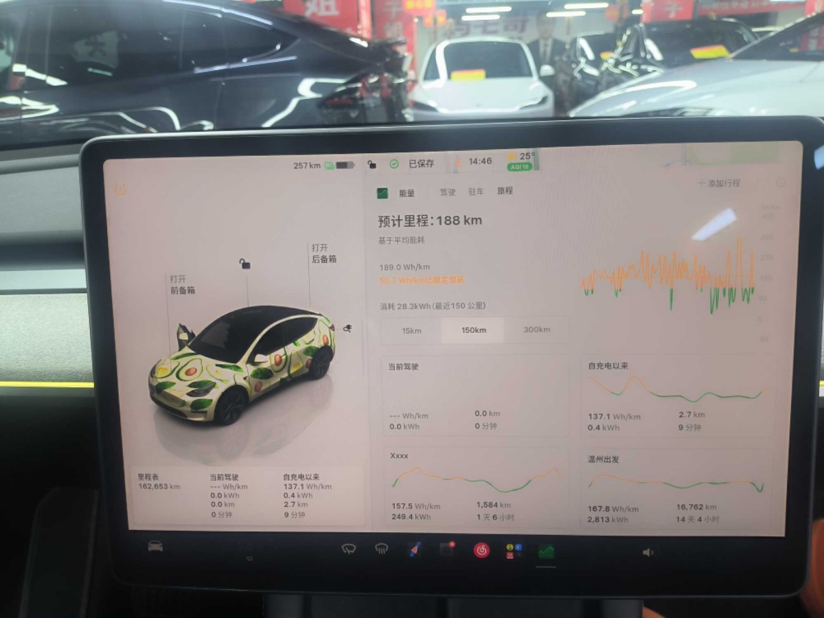 Tesla Model Y 2024 car image #15