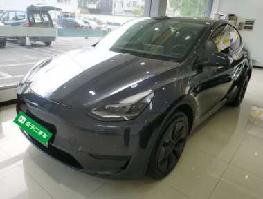 Tesla Model Y 2024 Tesla Model Y 2024 car image