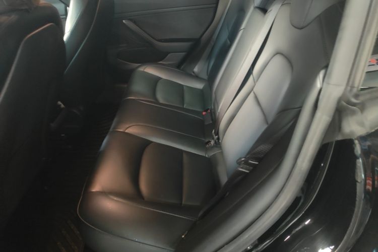 Tesla Model 3 2020 car image #17