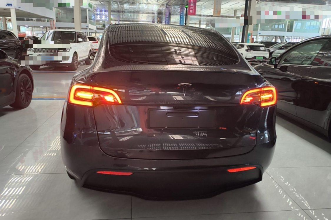 Tesla Model Y 2024 car image #4