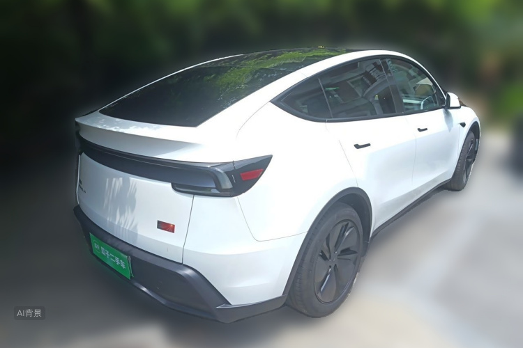 Tesla Model Y 2025 car image #7