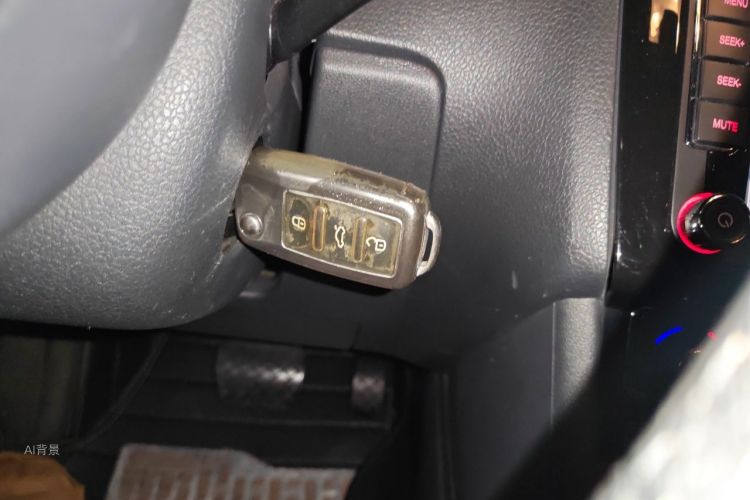 Volkswagen Polo 2016 car image #10