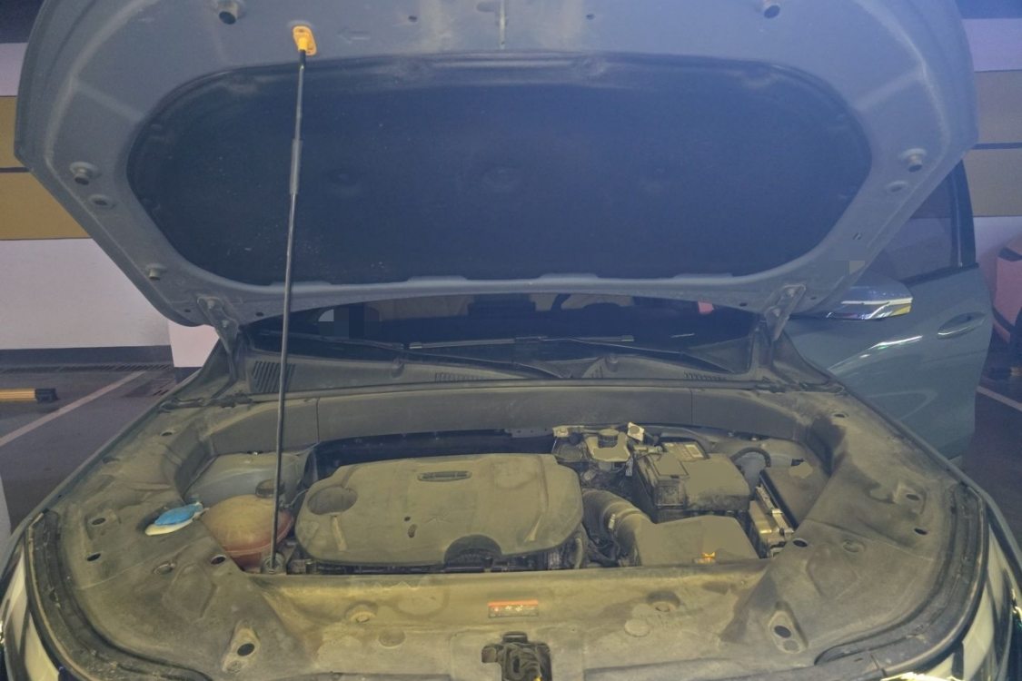 GEELY Boyue L 2023 #10 GEELY Boyue L 2023 immagine di auto #10