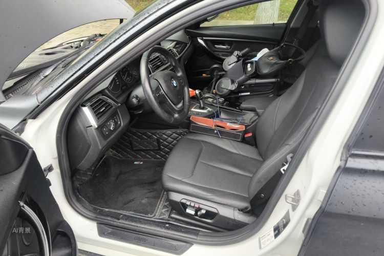 BMW 3 Series 2016 car image #18