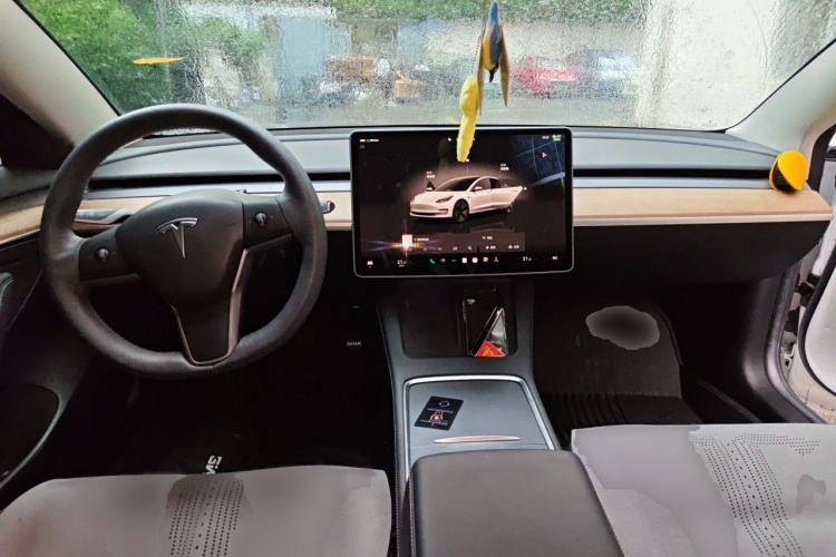 Tesla Model 3 2022 #12 Tesla Model 3 2022 car image #12