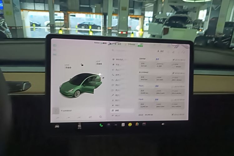 Tesla Model 3 2021 car image #17