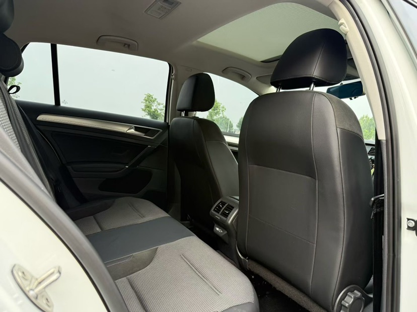 Volkswagen Golf 2019 car image #9