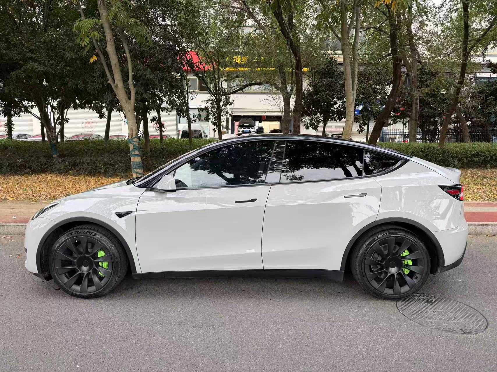 Tesla Model Y 2021 #3 Tesla Model Y 2021 car image #3