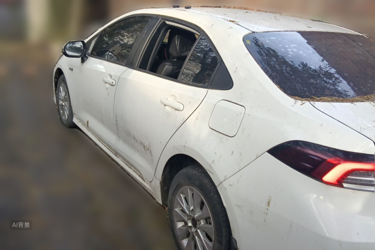 Toyota Corolla 2021 car image #5