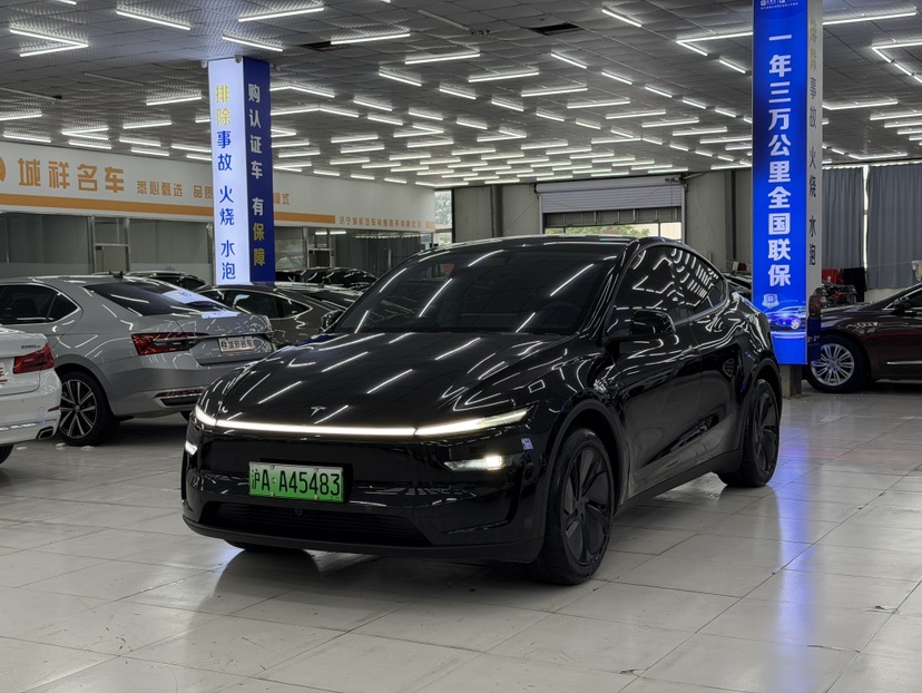 Tesla Model Y 2025 car image 