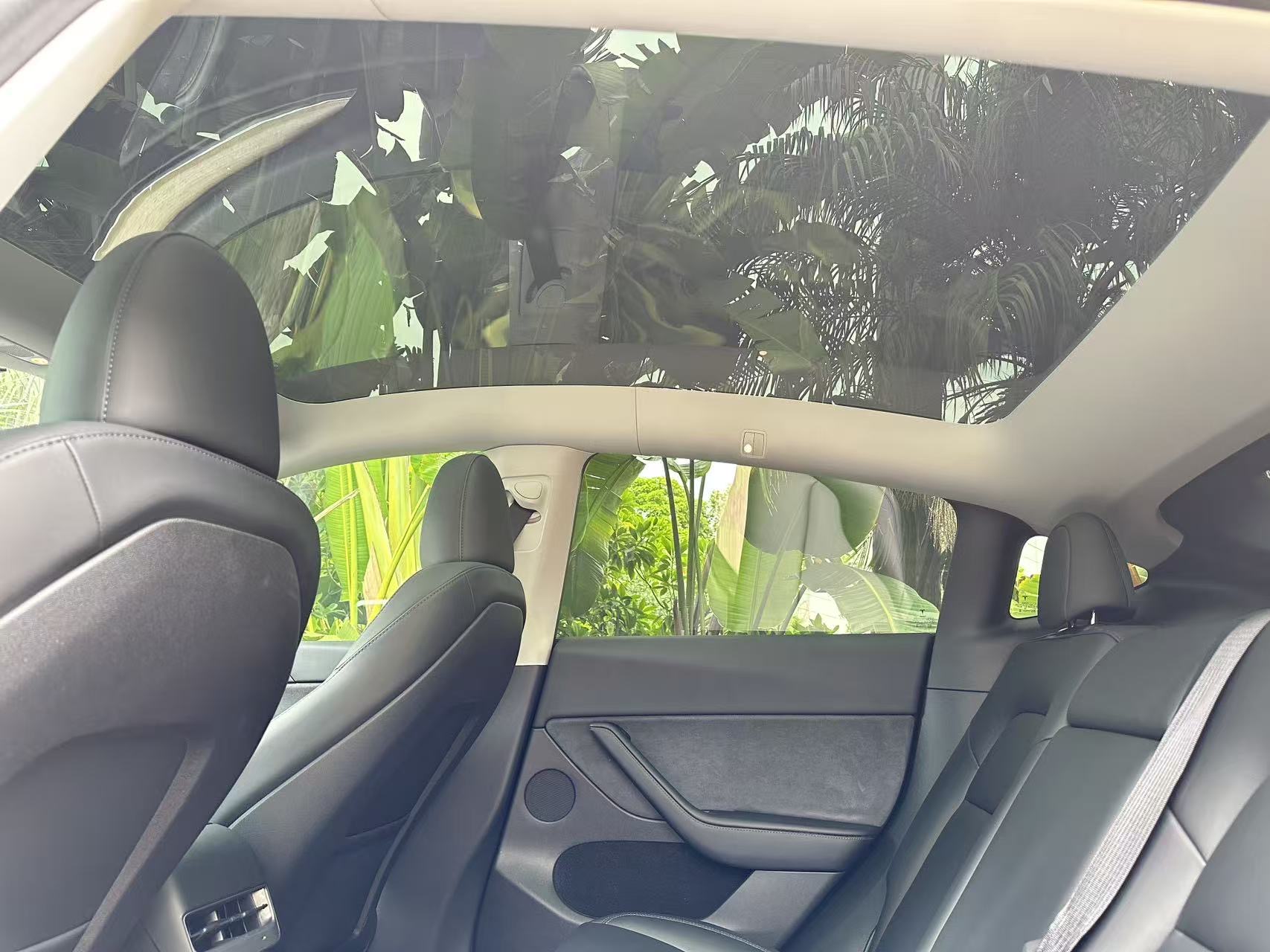Tesla Model Y 2023 #8 Tesla Model Y 2023 car image #8