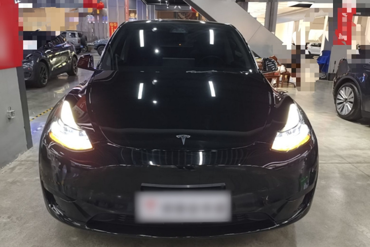 Tesla Model Y 2024 #3 Tesla Model Y 2024 car image #3