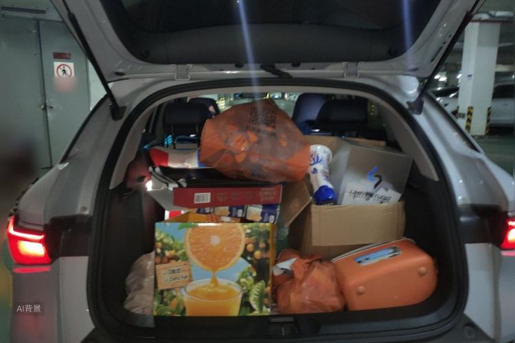 BYD Yuan Plus 2023 car image #21