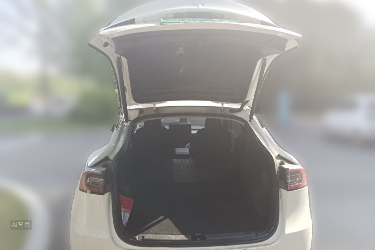 Tesla Model Y 2024 car image #21