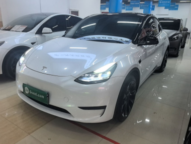 Tesla Model Y 2024 Tesla Model Y 2024 car image